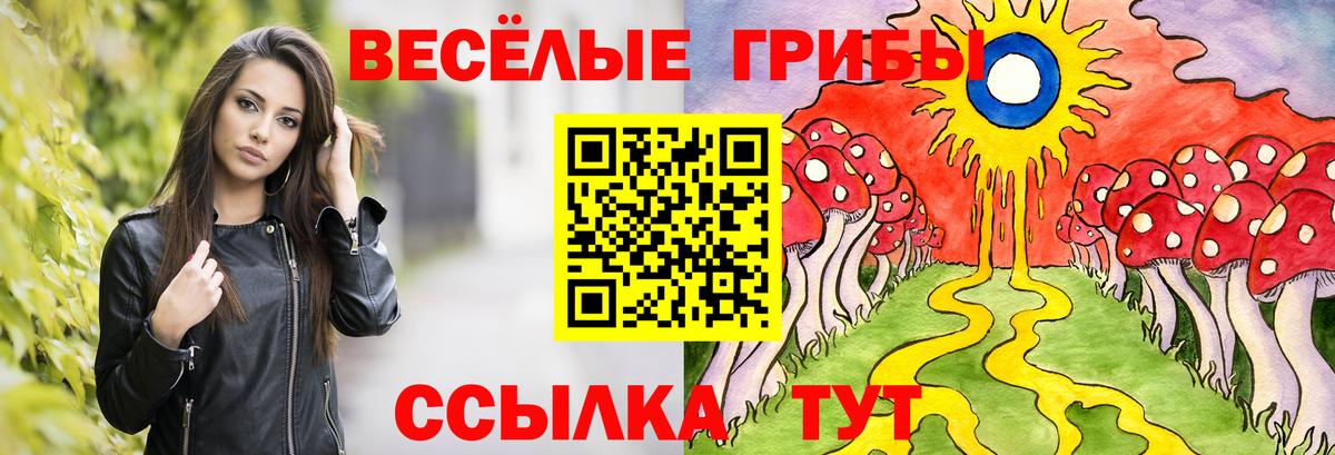 Галлюциногенные грибы Magic Shrooms Ртищево